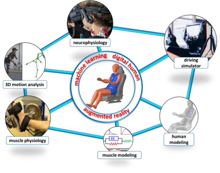 Network of methods and expertise to enhance man machine interaction in driver in the loop simulations in order to assess injury risk during autonomous driving.